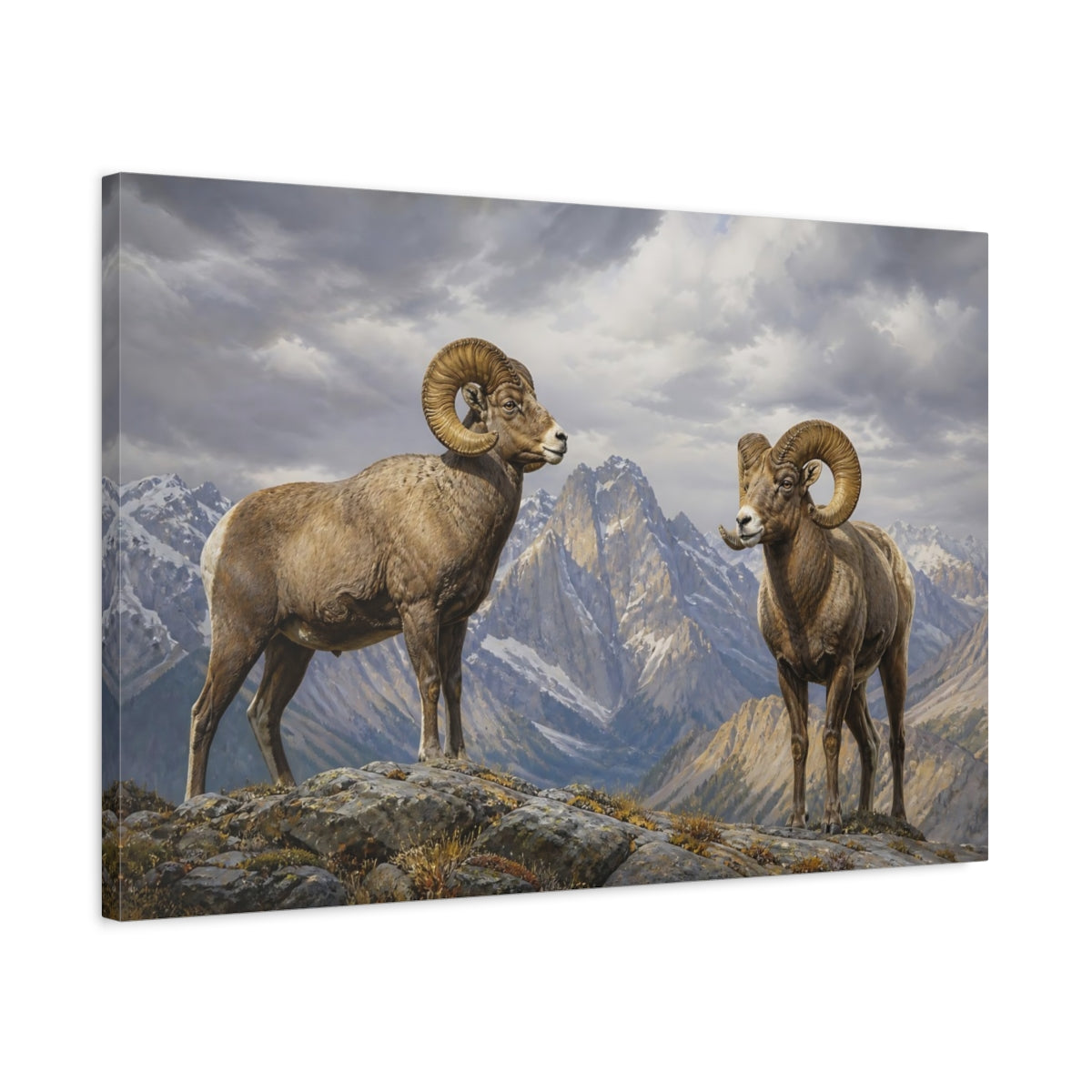Side Mockup 2. Animals Bighorn Sheep Brown Grey Mountains shown as stretched canvas wall art