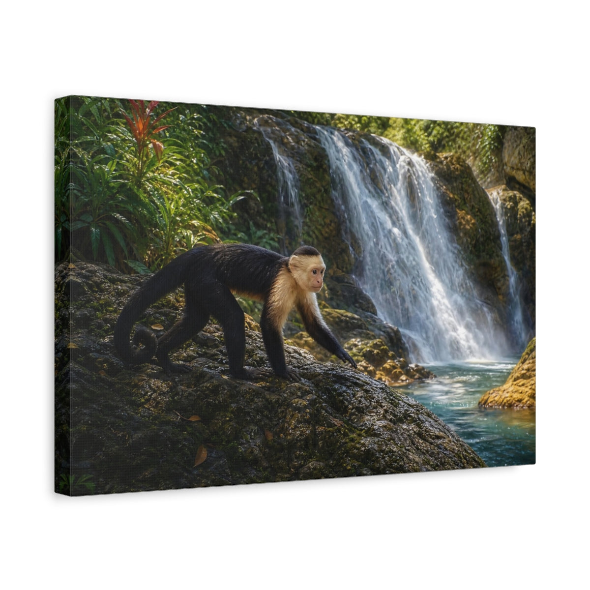 Side Mockup 4. Animals Capuchin Monkey Monkey Waterfall shown as stretched canvas wall art