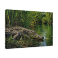 Side Mockup 4. Animals Crocodile Green Crocodile shown as canvas print