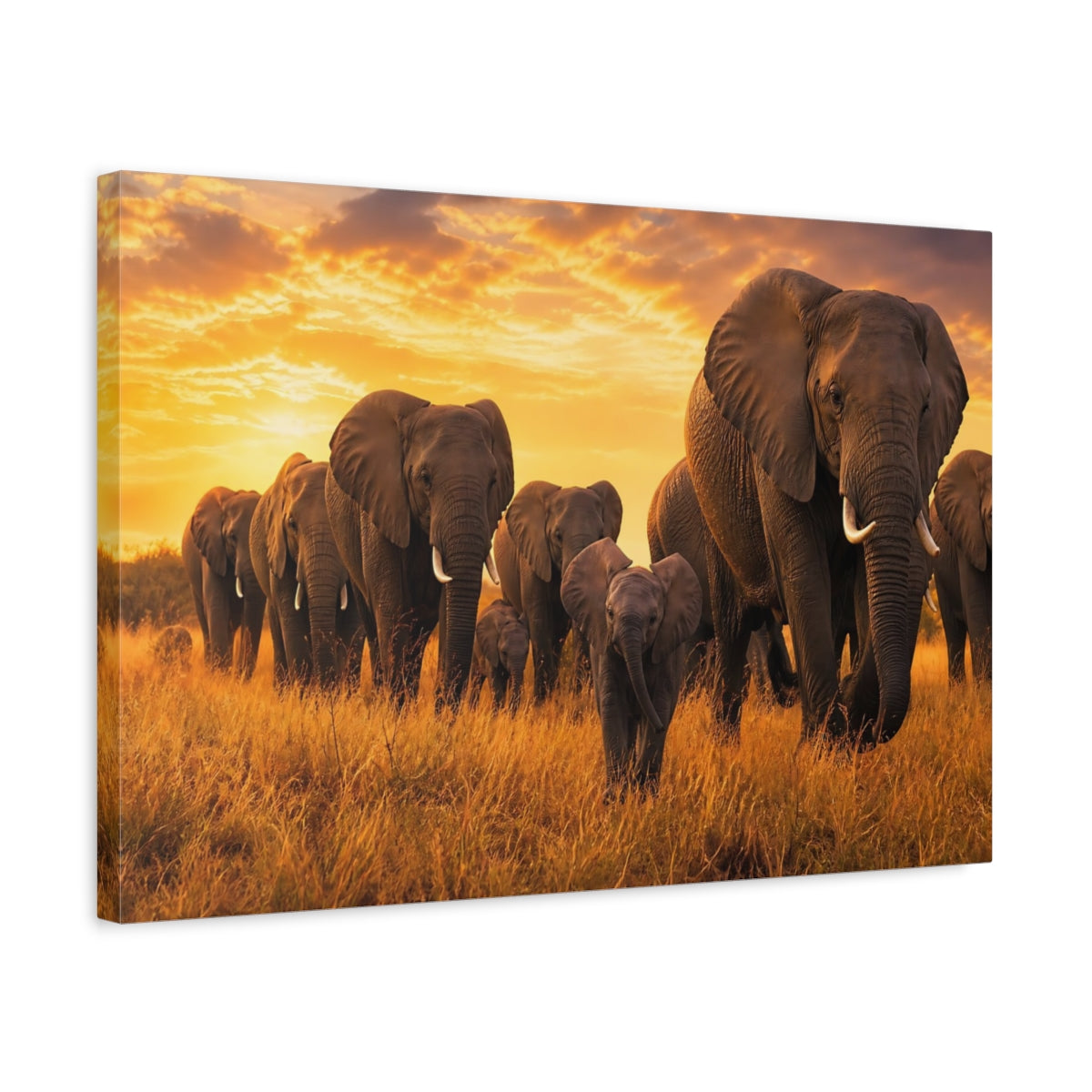 Side Mockup 3. Animals Elephant Herd Elephants Sunset shown as stretched canvas wall art