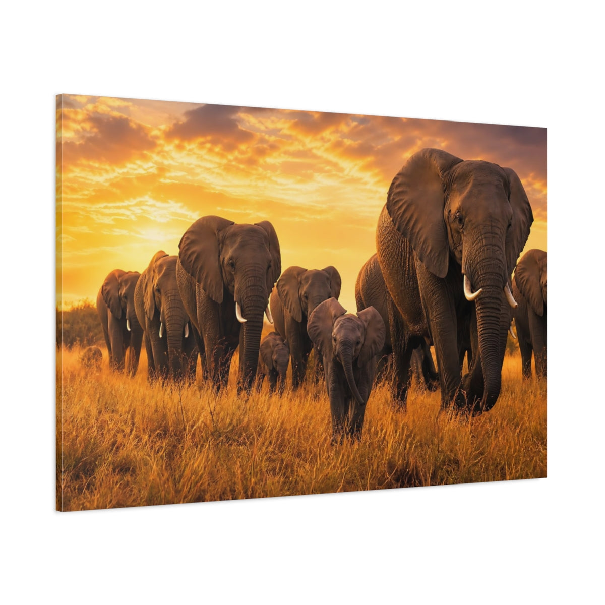 Side Mockup 1. Animals Elephant Herd Elephants Sunset shown as stretched canvas wall art