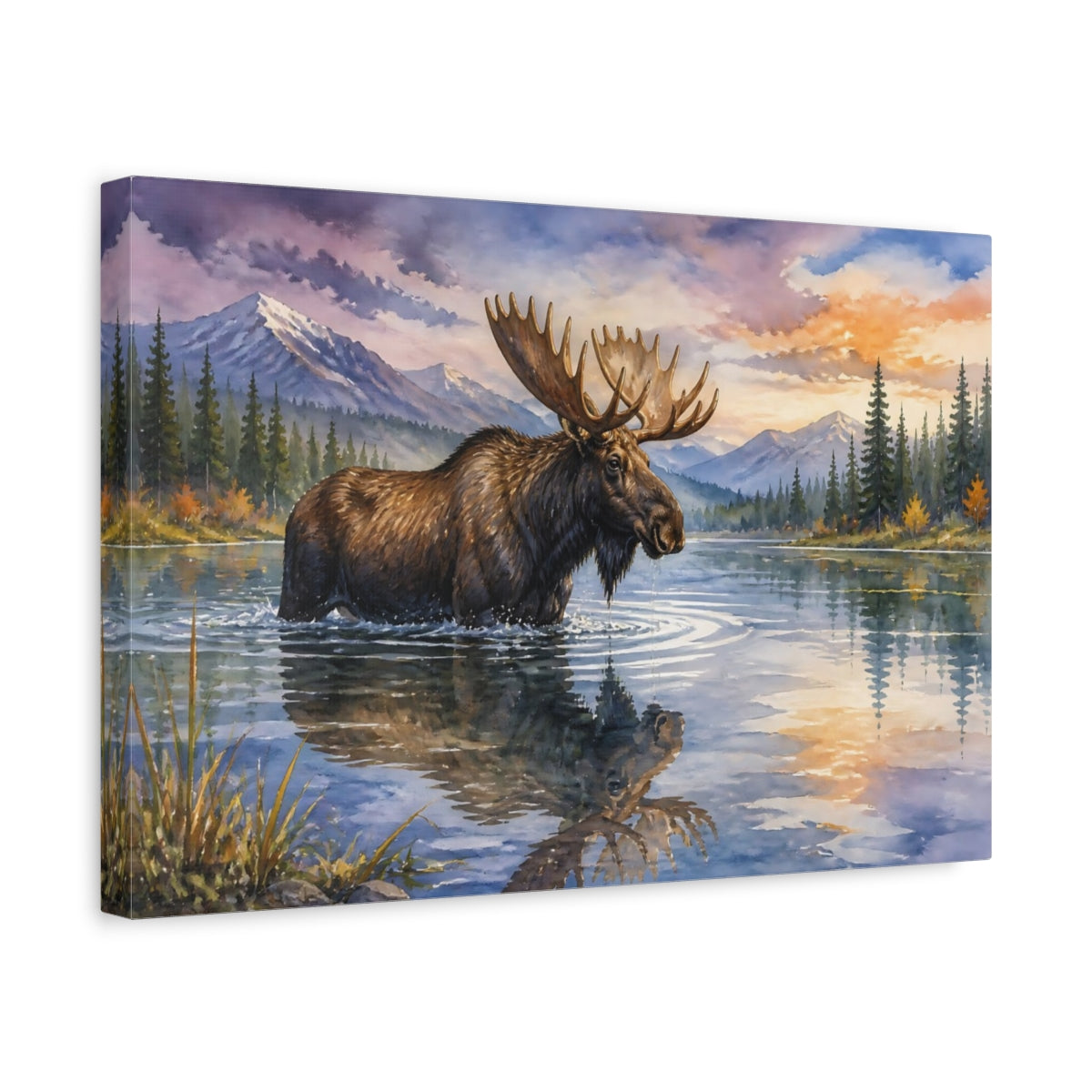Side Mockup 4. Animals Moose Moose Wildlife Sunset shown as canvas print