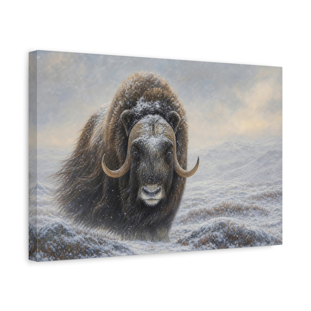Side Mockup 4. Animals Musk Ox Brown Winter Animal shown as stretched canvas wall art